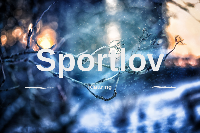 Sportovsaktiviteter
