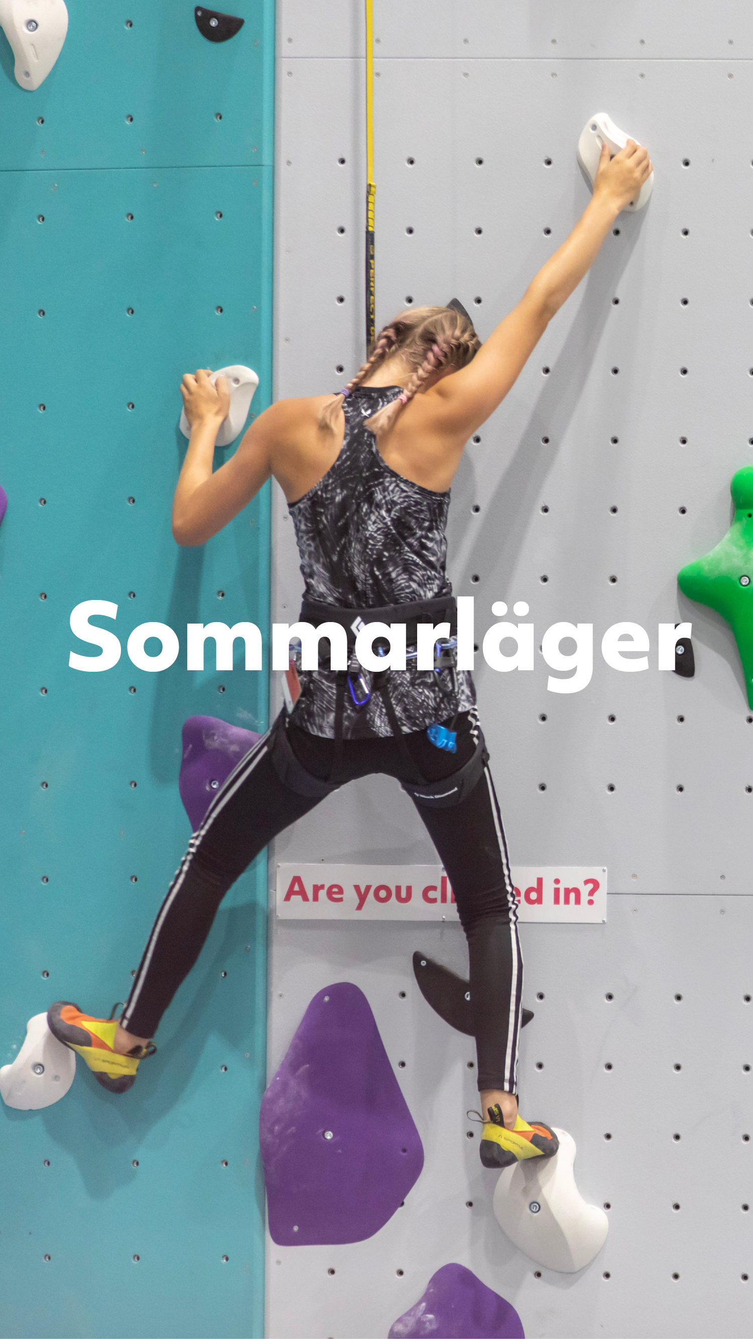 Öppettider under jul & nyår!