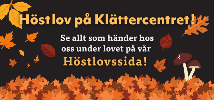 Vårt kursutbud